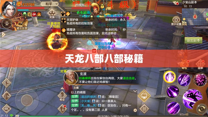 天龙八部八部秘籍